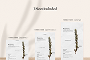 Food Ingredient Templates I Canva, a Social Media Template by The Social Stuff (Thumbnail 6 of 9)