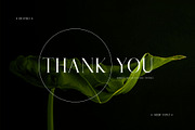DESTRO Ligature Serif Font, a Serif Font by Humaira_std (Thumbnail 8 of 8)