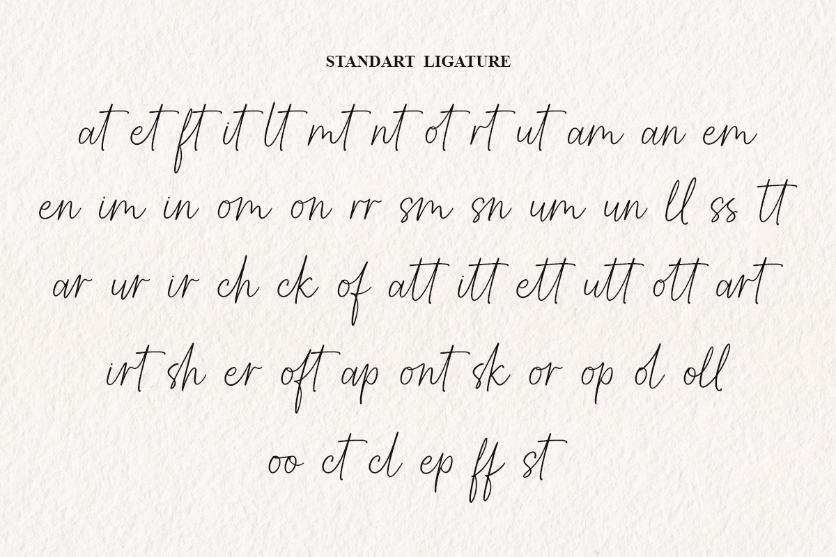 Softella Seraphine, a Script Font by Barra & Beryl Co. (Photo 9 of 11)