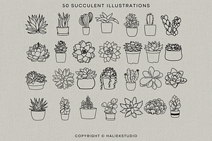 Succulent Illustrations SVG Graphics