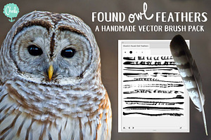 Found Owl Feathers Vector Brush Pack