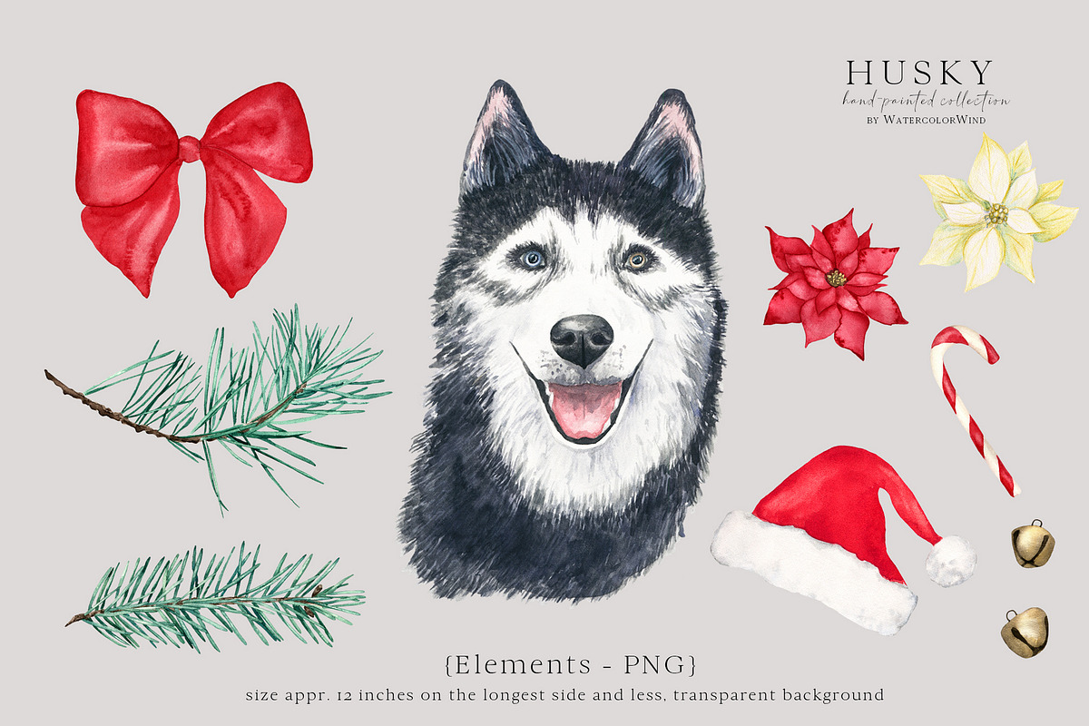 Christmas Husky Dog Winter Clipart, an Illustration by Ksenia Shmakova (Photo 2 of 6)