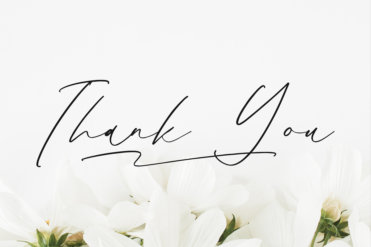 Gatenfield Mondilla Modern Signature, a Script Font by Storytype Studio (Photo 15 of 15)