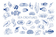 Coral gardens. Patterns collection, a Pattern Graphic by Robusta (Thumbnail 12 of 16)
