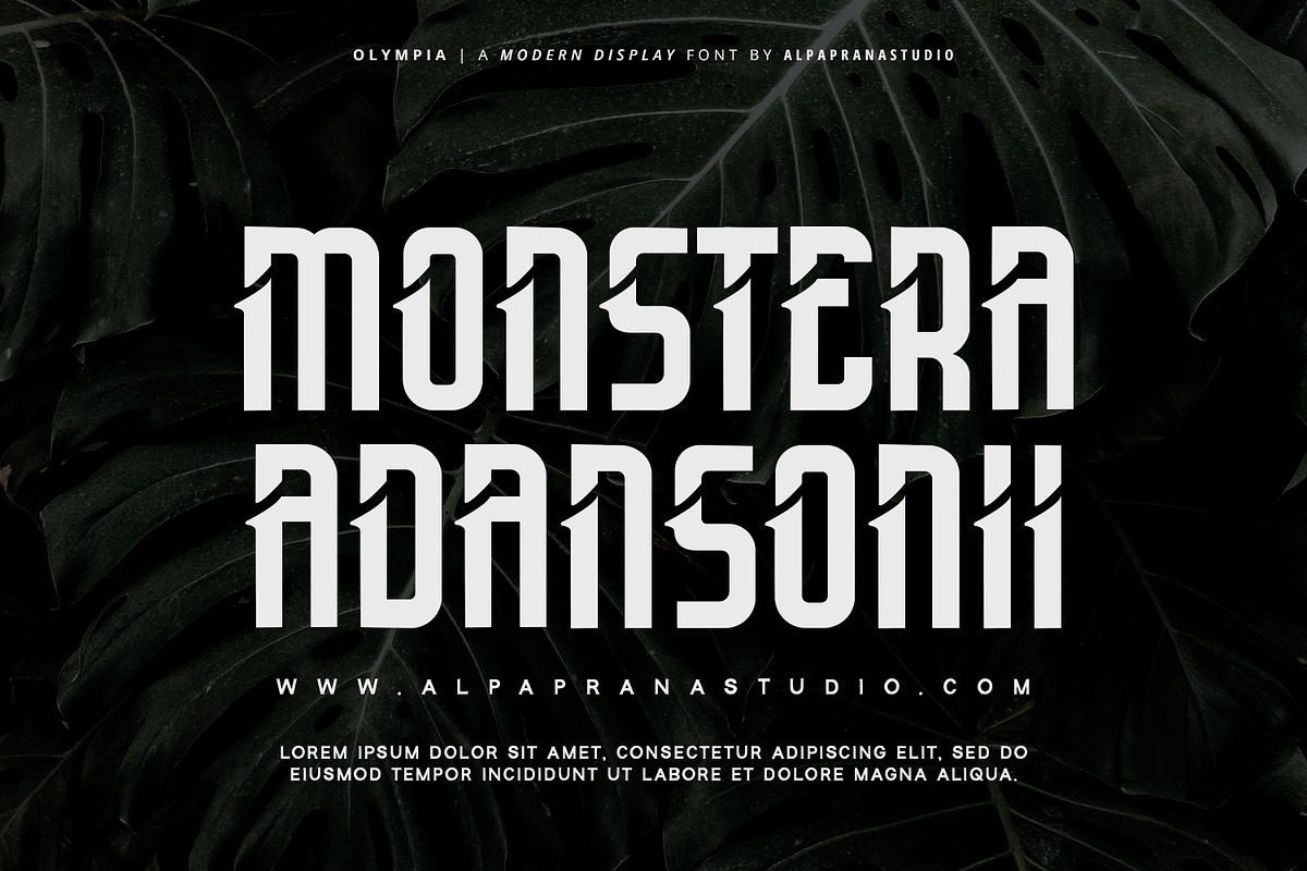 Olympia - Modern Display Font, a Script Font by Alpaprana (Photo 2 of 12)
