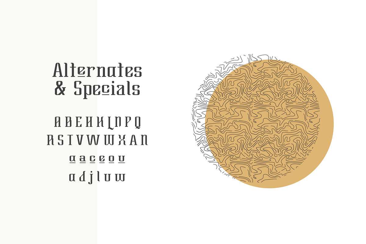 Brylan Typeface, a Serif Font by ANDR35 (Photo 6 of 8)