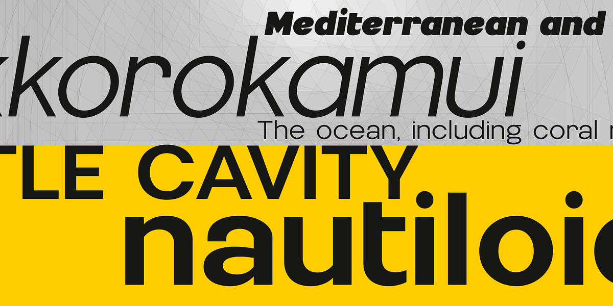 Nemorosa, a Sans Serif Font by Octotypo (Photo 7 of 7)