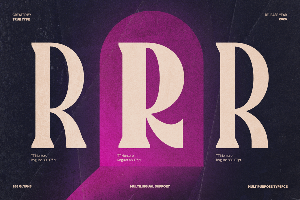 TT Montero Serif Condensed, a Serif Font by truetype (Photo 3 of 15)
