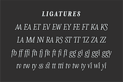 Levino Font Family, a Font by Punch (Thumbnail 4 of 10)