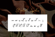 Belitha - Script Handwritten, a Script Font by Lettermine (Thumbnail 8 of 10)