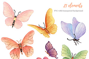 Butterfly Digital Clipart