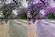 30 Magic Mauve Photoshop Collection, an Action Add-On by 3Motional (Thumbnail 10 of 11)