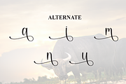 Buffalo | Script Font, a Handwritten Font by Scratchones (Thumbnail 8 of 9)