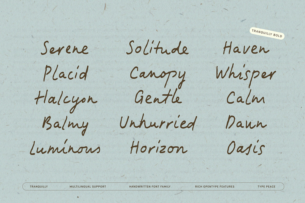 Tranquilly | Handwritten Font, a Handwritten Font by type peace (Photo 14 of 19)