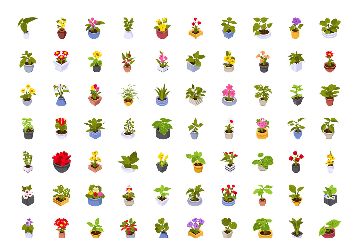 Flower and Plants Isometric Icons, a Duotone Icon by Brickclay (Photo 7 of 7)