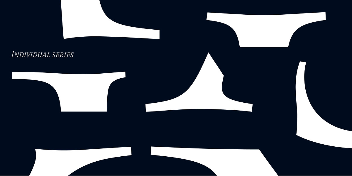 Romis, a Serif Font by Finaltype (Photo 9 of 22)