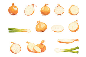 Set of cartoon onions, sliced whole, a Food Illustration by LadadikArt