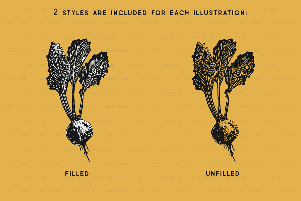 Fruit and Vegetable Illustrations, a Food Illustration by BirDIY Design (Photo 5 of 10)