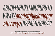 Contraption Narrow Oblique Family, a Sans Serif Font by Pink Broccoli (Thumbnail 3 of 3)