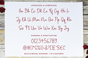 Jakarta Signature Font, a Script Font by Cherryline Master (Thumbnail 7 of 7)