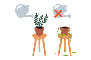 Green houseplant watered and plant, an Object Illustration by Vectorbuum
