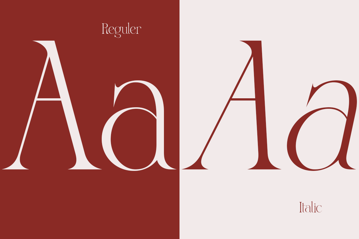 Vroza Conte - Elegant Modern Display, a Serif Font by Qweera Studio (Photo 8 of 12)