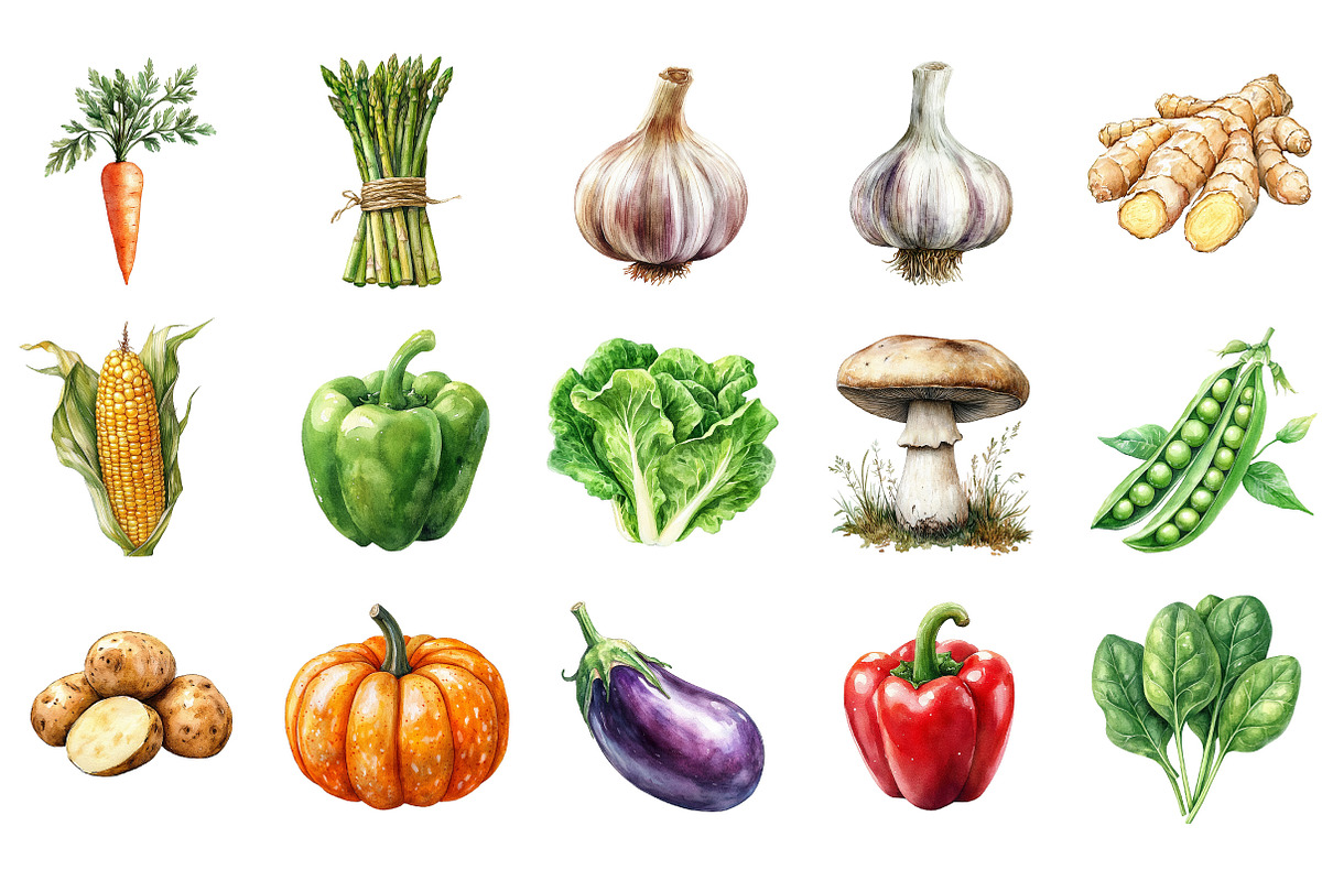 Watercolor Vegetable PNG Bundle, an Illustration by Designking (Photo 3 of 5)