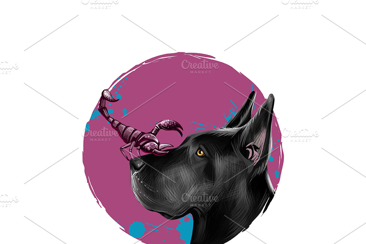 Zodiac signs  - DOGS HOROSCOPE, an Icon by Dneprstock (Photo 4 of 4)