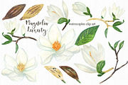 Magnolia white luxury illustrations, an Illustration by LABFcreations (Thumbnail 4 of 5)