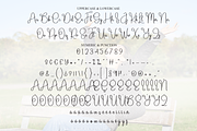 Blissful | Script Font, a Handwritten Font by Scratchones (Thumbnail 7 of 8)