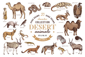 Desert animals collection