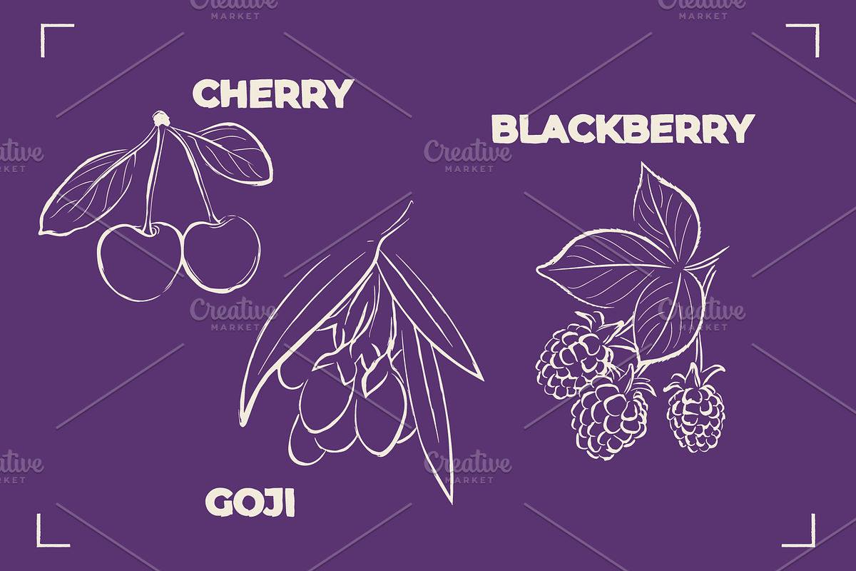 BERRY LINE ART SET (20 elements), a Food Illustration by Bonfloret Studio (Photo 4 of 9)
