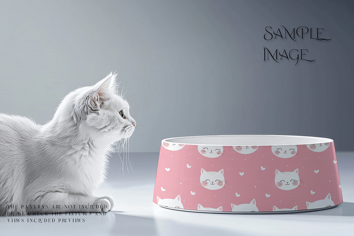 Pet Bowls PNG & PSD Mockups, a Product Mockup by mock-ups (Photo 10 of 12)