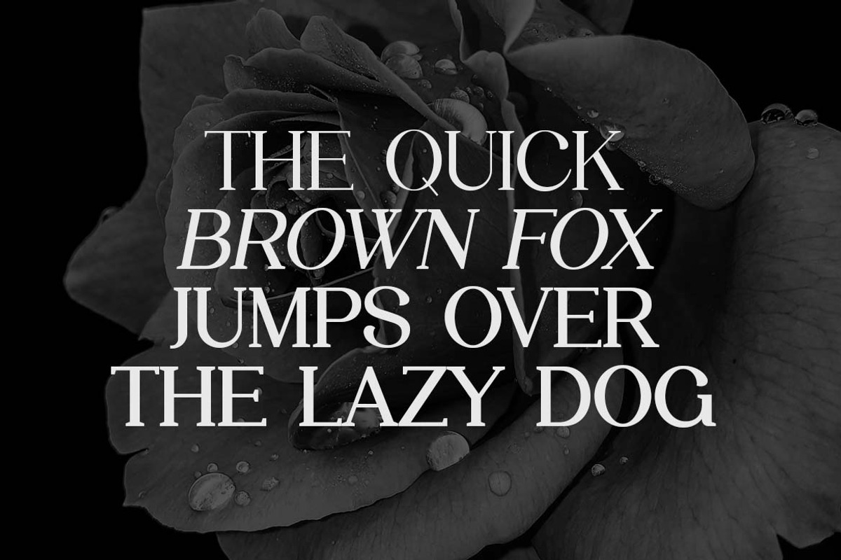 Moonscape Serif Roman Family Font, a Serif Font by UICreative (Photo 8 of 13)