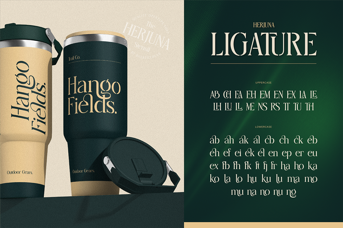 Herjuna, a Serif Font by Burntilldead (Photo 10 of 12)