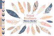 Navy & Blush Feather Vector Clipart, an Illustration by Amanda Ilkov (Thumbnail 1 of 4)