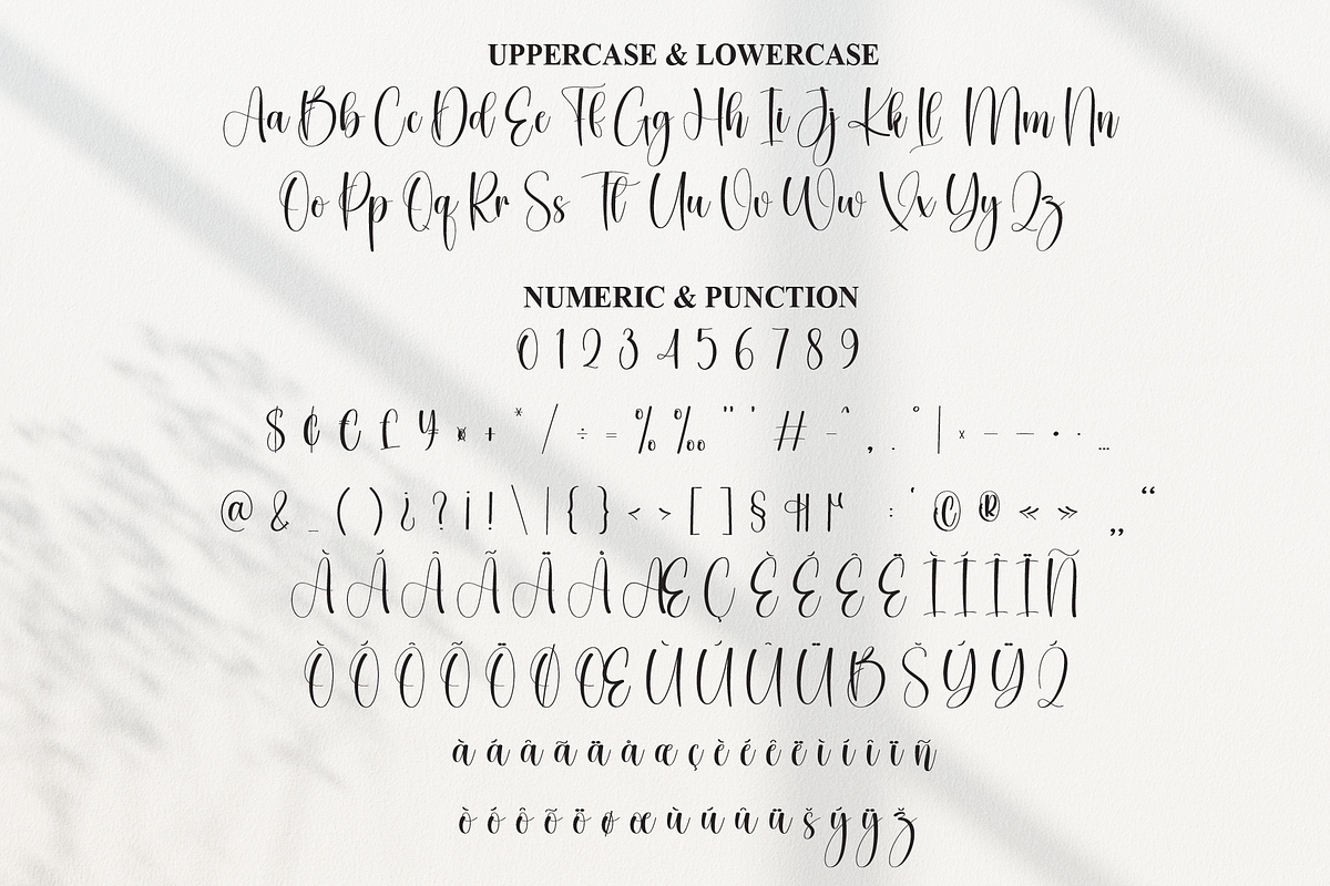 Cristian Angelina | Script Font, a Handwritten Font by Scratchones (Photo 7 of 9)