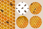 Honey Bee - Watercolor Breakfast, an Illustration by NNclipart (Thumbnail 6 of 8)