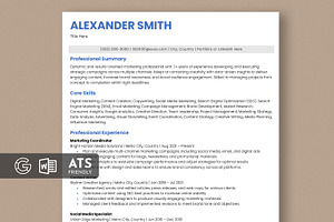ATS Friendly Resume / CV, a Resume Template by Anjum Ilyas