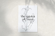 Pencil-drawn flowers, a Decorative Illustration by Damian Roh (Thumbnail 7 of 21)
