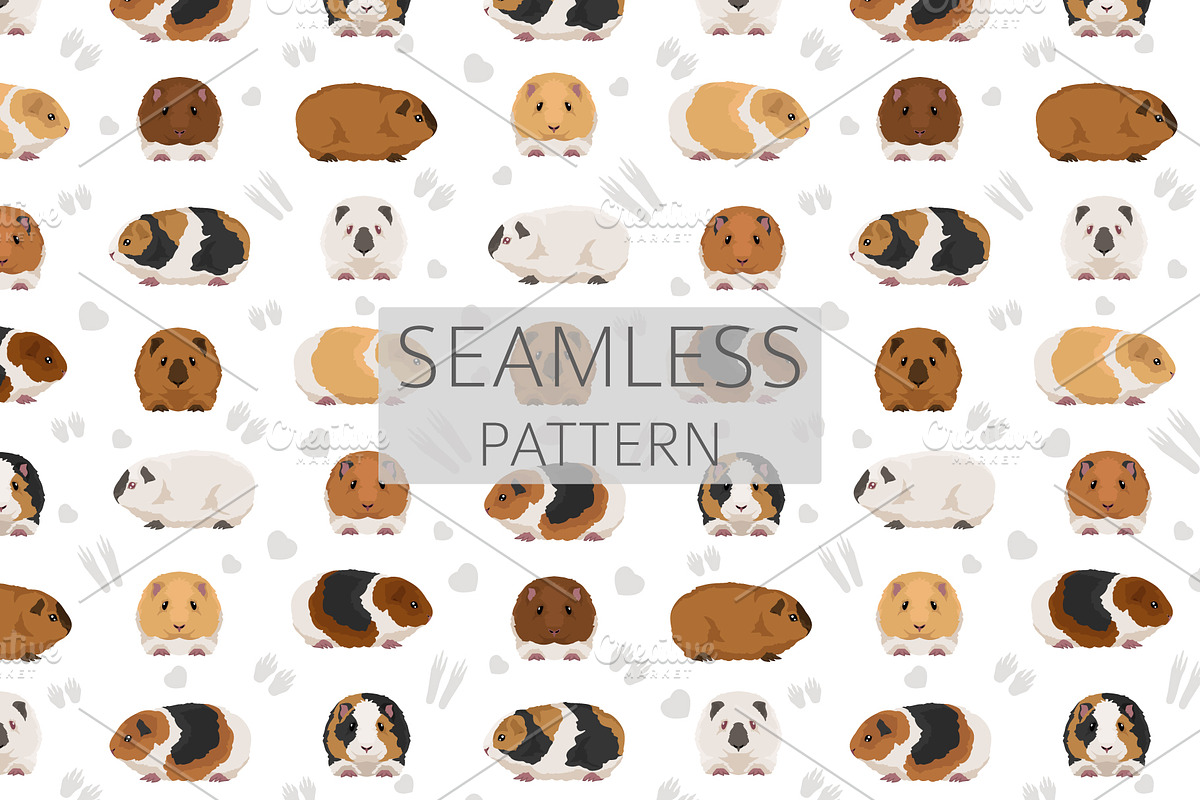 Teddy Guinea Pig set, an Animal Illustration by pet design shop (Photo 4 of 4)