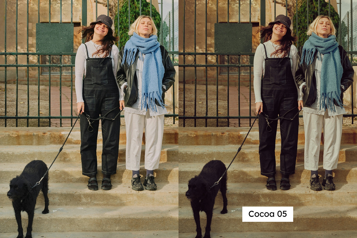 25 Emulsion Lightroom Presets & LUTs, a Preset Add-On by SparkleStock (Photo 8 of 14)