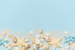 Starfish and seashells arranged on sandy blue background, a Holiday Photo by Olena Rudo