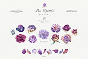 Purple Roses - Watercolour Clipart, a Decorative Illustration by Aquarellina (Thumbnail 14 of 14)