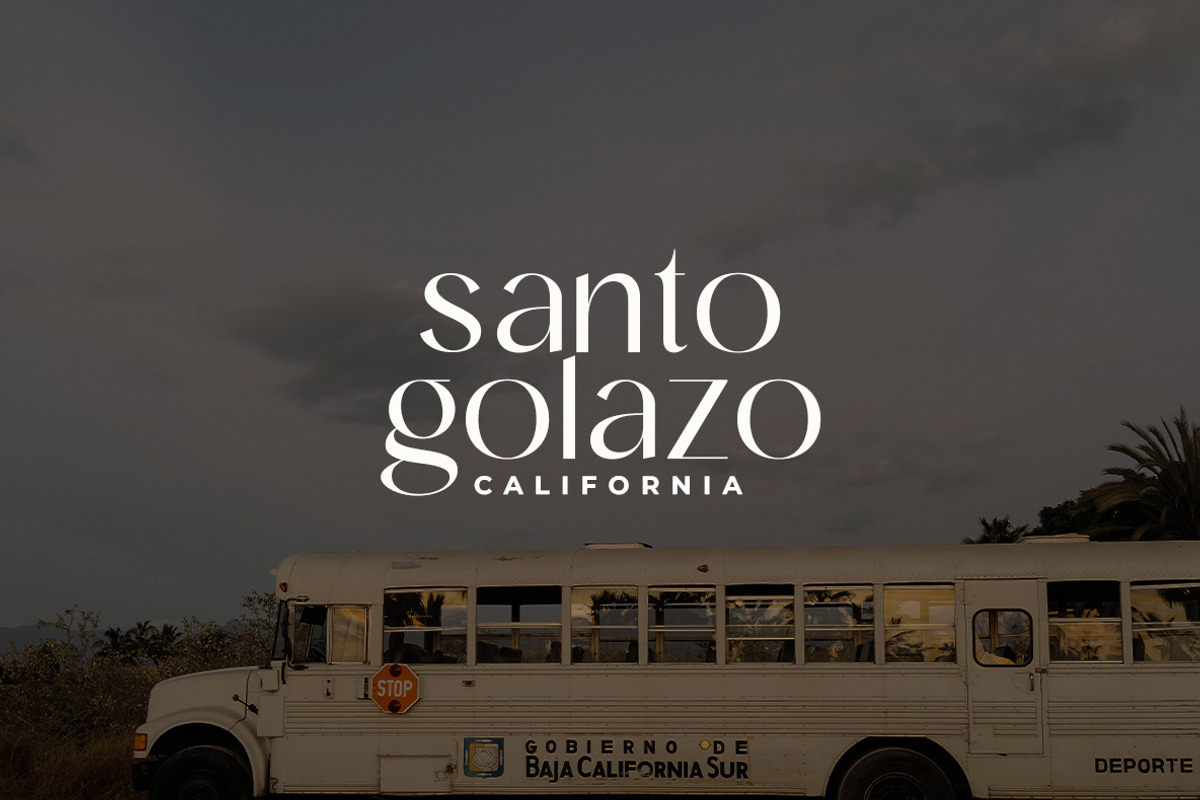 ELEGANCE | Sans Family, a Sans Serif Font by InkwellTypeCo (Photo 6 of 14)