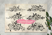 Magnolia flowers. Engraving style., a Decorative Illustration by Alena Kaz (Thumbnail 10 of 12)