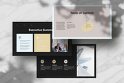 Business Plan Template | CANVA, a Presentation Template by White Graphic (Thumbnail 4 of 8)