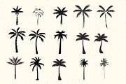 50 Palm Tree Vector Logos & Icons, an Outline Icon by Tropical Type (Thumbnail 4 of 7)