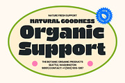 Fresh Chunky Retro Groovy Sans, a Sans Serif Font by timelesstype.co (Thumbnail 3 of 15)