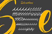 Silvertees – Handwritten Script Font, a Script Font by overlaytemplates (Thumbnail 5 of 5)